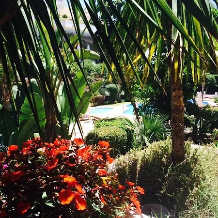Lomas Del Rey Apartment