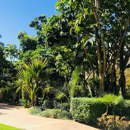 Lomas Del Rey Apartment Marbella